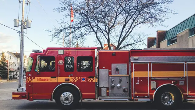 Andrew Knapp viaja com border collie e tem mais de 140 mil seguidores no Instagram