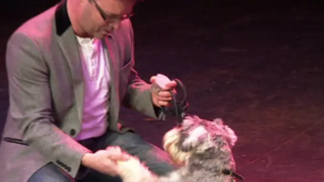 Cachorro faz teste para ópera (BBC)