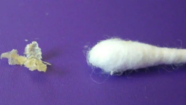 कान का मैल