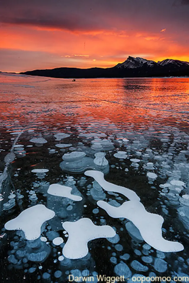 Ice bubbles - ©Darwin Wiggett - oopoomoo.com