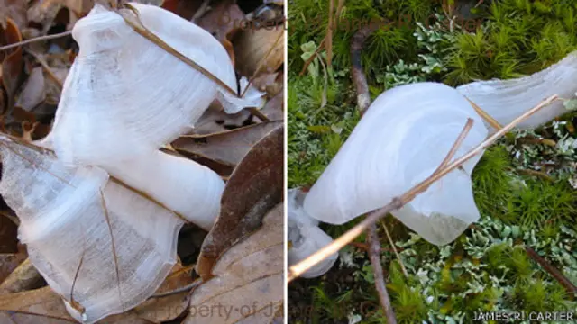 Las primeras cintas de James R. Carter