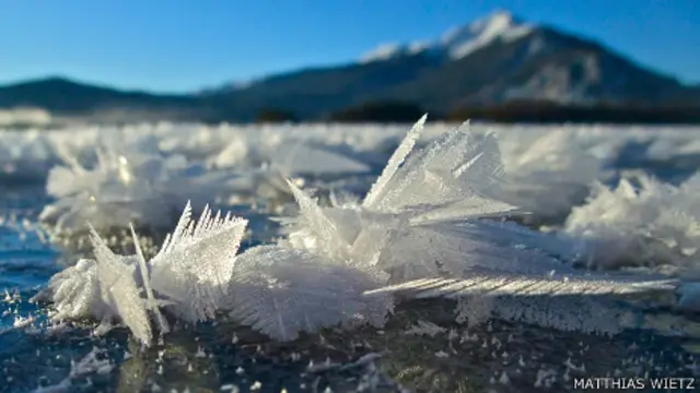 Flores de hielo de cerca / Foto Matthias Wietz