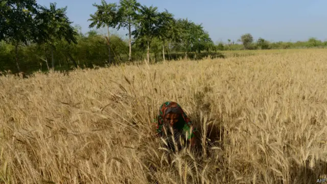 भारतीय किसान