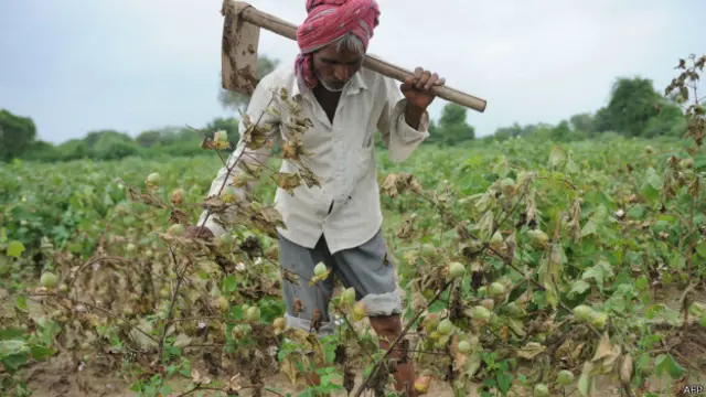 भारतीय किसान