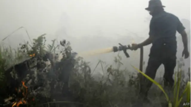 Kebakaran lahan di Riau.