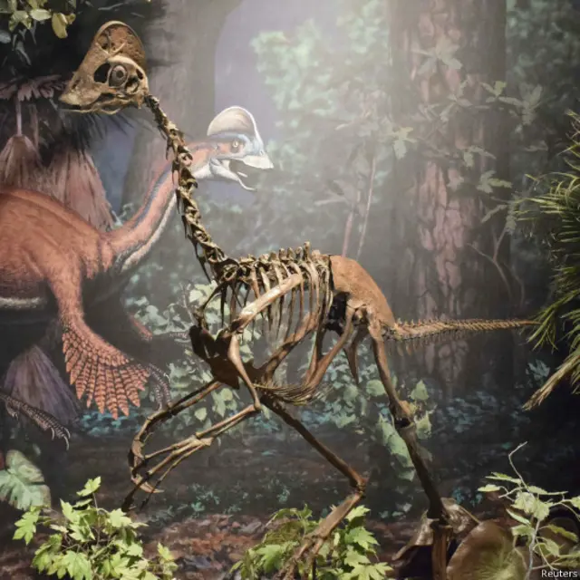 डायनासोर की नई प्रजाति