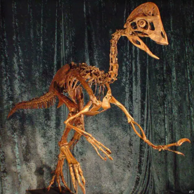 डायनासोर की नई प्रजाति