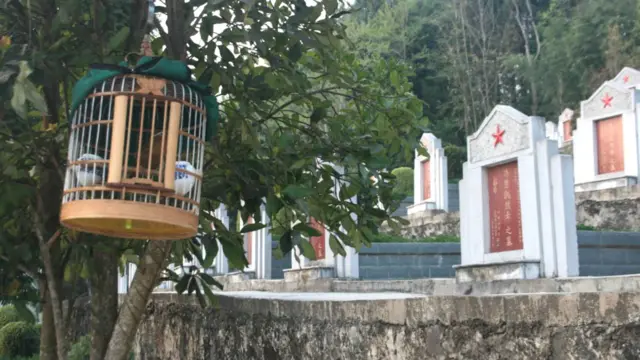 Nghĩa trang nằm ở cả hai bên con đường lớn, trập trùng bia mộ nằm khắp triền đồi. Có 4, 5 người đàn ông đang đứng nghe chim họa mi hót trong những chiếc lồng treo trên cây, theo ông Đăng kể.