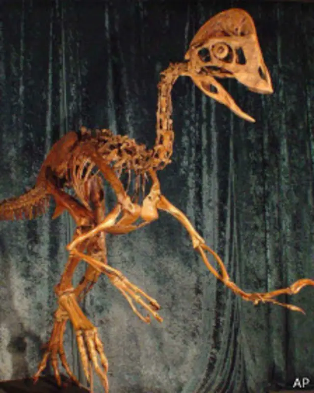 Реконструкция скелета