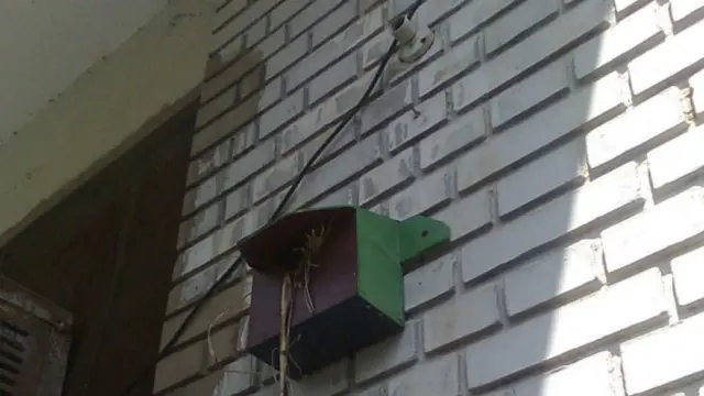 चिरंजी लाल खन्ना का बनाया गौरैया का घोंसला