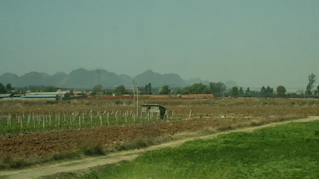 Nhiều người Hoa từ VN về đã bỏ làm ruộng và chuyển sang buôn bán