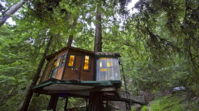 Casa en un árbol