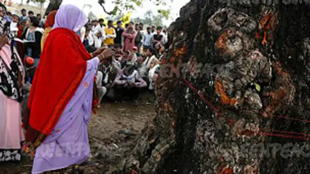 غیر سرکاری تنظیموں نے ماحولیات اور زمین کے حقوق کے نام پر ایسا خوف پیدا کیا ہے کہ حکومتیں سڑک کی توسیع کے فیصلے سے بھی ڈرتی ہیں