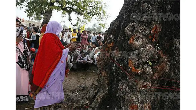 ग्रीनपीस भारत