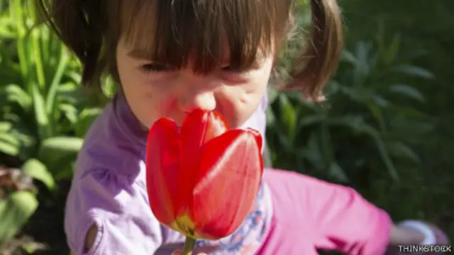 تفوح الأزهار بروائح طيبة لأنها تجمع خليطا من مئات الروائح 