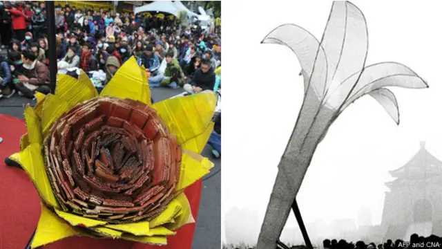 太陽花與野百合