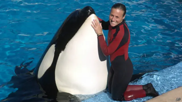 La fallecida entrenadora del parque SeaWorld de Orlando mcon la orca Tilikum