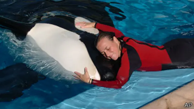 La fallecida entrenadora del parque SeaWorld de Orlando mcon la orca Tilikum
