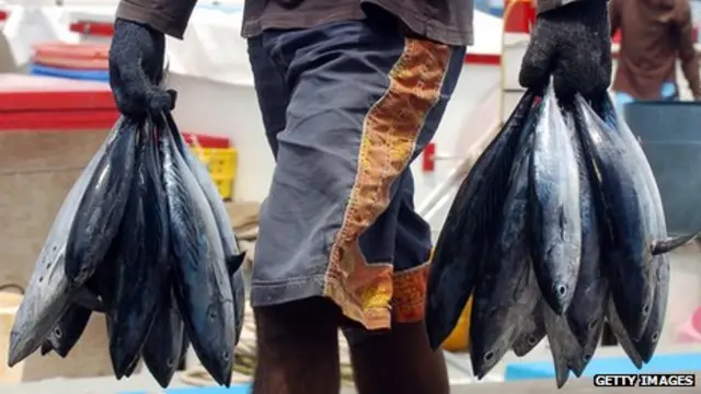 سیاحت کے بعد مالدیپ کی سب سے بڑی صنعت ماہی گیری ہے