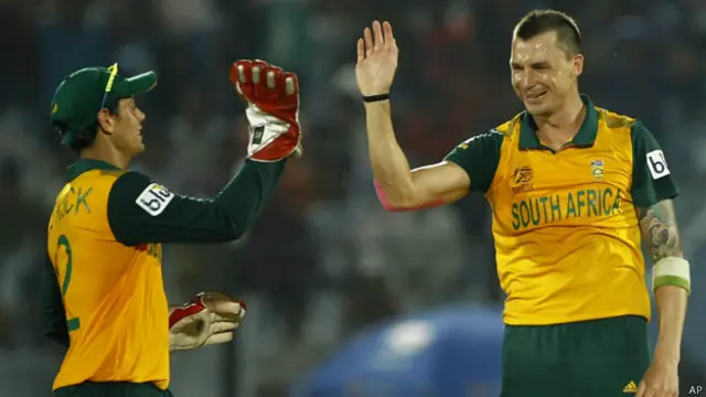 डेल स्टेन