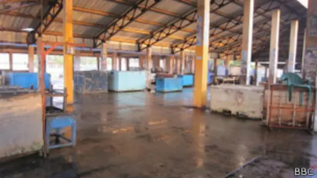 වර්ජනය හේතුවෙන් හලාවත හා මීගමුව මාළු වෙළඳපොළවල් වසා දමා තිබිණ