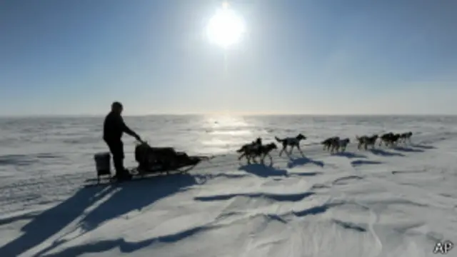 Собачья упряжка