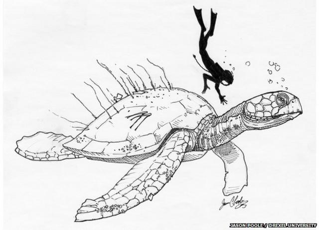 Ilustración de la tortuga gigante