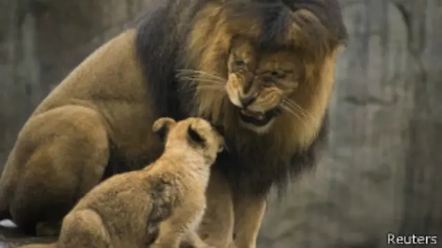 哥本哈根动物园