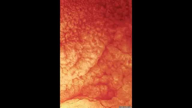 Chris Peun se inspirou em visita a planetário para fazer suas obras.