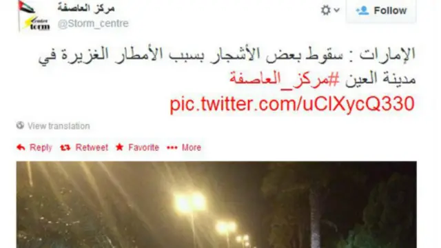 عاصفة الإمارات تقتلع الأشجار