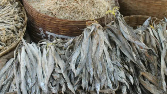 महाराष्ट्र में रायगढ़ का नागांव