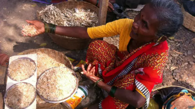 महाराष्ट्र में रायगढ़ का नागांव