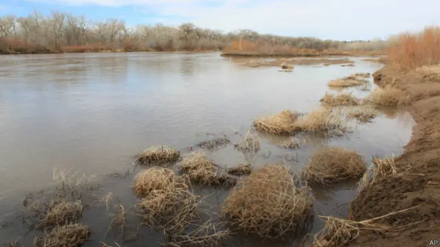 Rio Grande (AP)
