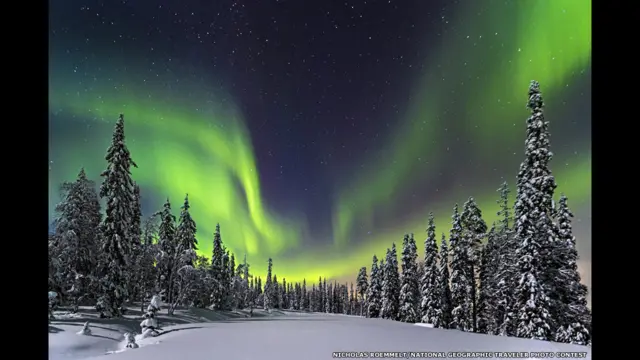 أضواء الشمال وهي تنعكس على الغابة
