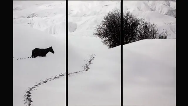 اقام كيارستمي عددا من المعارض لصوره الفوتغرافية 