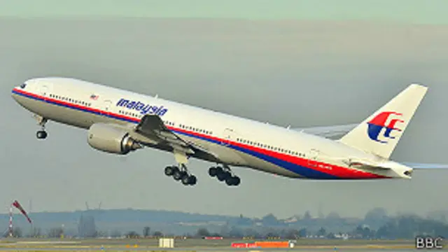Avión Malaysia Airlines.