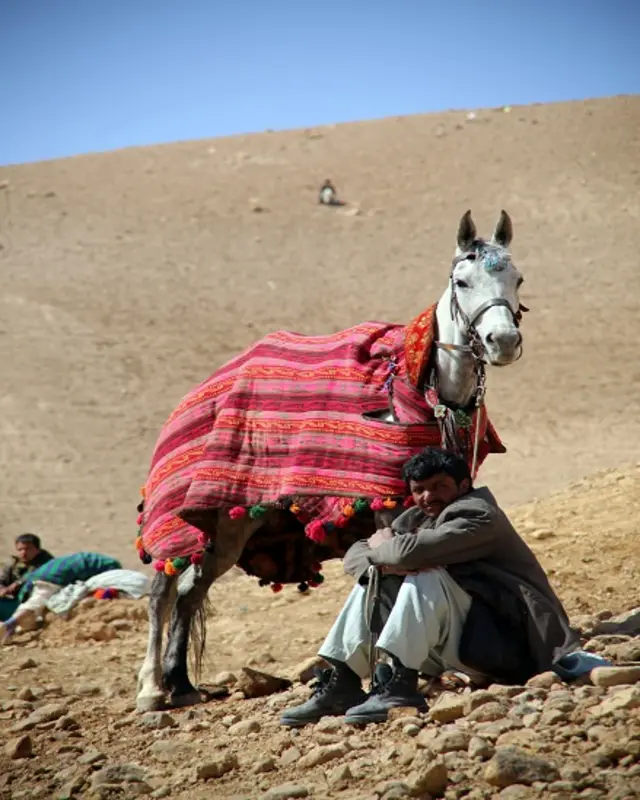 बुज़कशीः जवां अफ़गान मर्दों का खेल