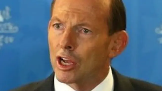 آسٹریلیا نے امید ظاہر کی ہے کہ جنوبی بحر ہند میں جو سنگنل موصول ہوا ہے وہ ملائشیا کے لاپتہ طیارے کا ہوگا