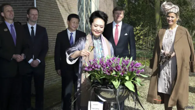習近平訪荷蘭期間，彭麗媛在荷蘭為新培育的鬱金香命名。
