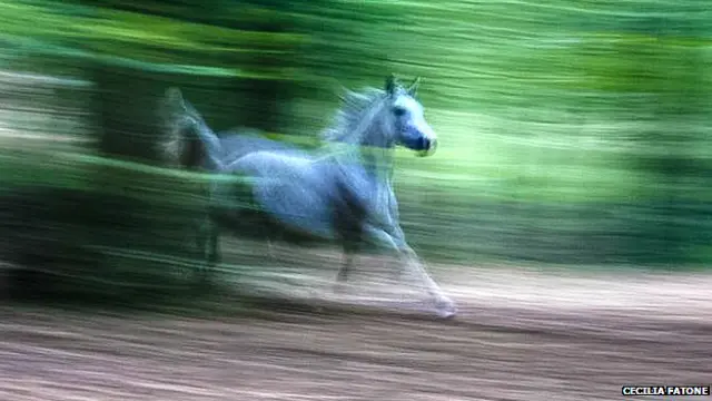 बीबीसी पाठकों की भेजी तस्वीर