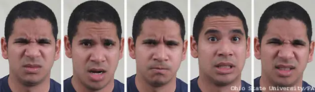 از چپ:عصبانی و مشمئز، عصبانی و متعجب، عصبانی، یکه خورده و مشمئز، مشمئز