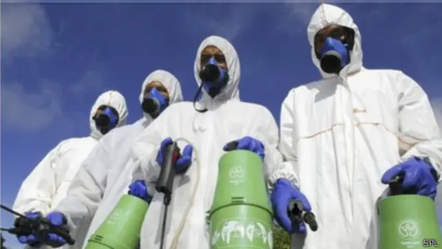 Fumigación en la isla Reunión