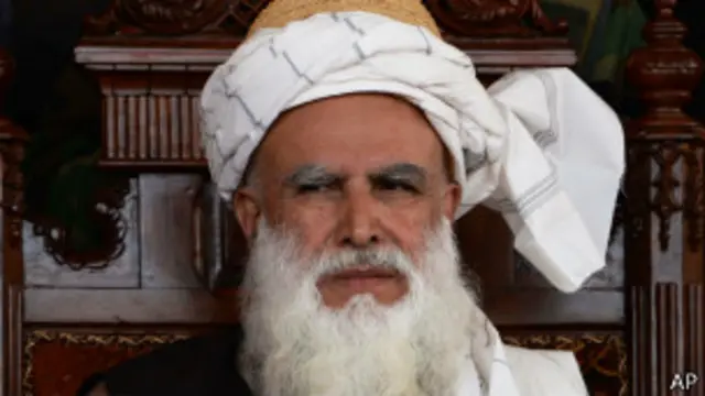 طالبان کی حکومت کے خاتمے کے بعد مخلتف حکومتی عہدوں پر فائز رہ چکے ہیں