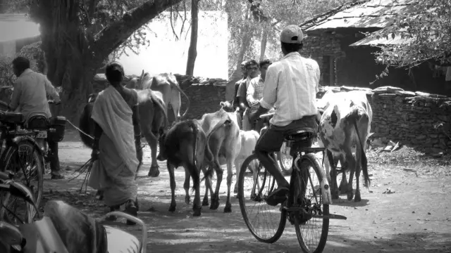 क़तार का आख़िरी, नोटा, बस्तर