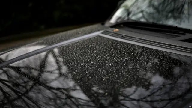 图辑：沙尘雾霾袭英伦