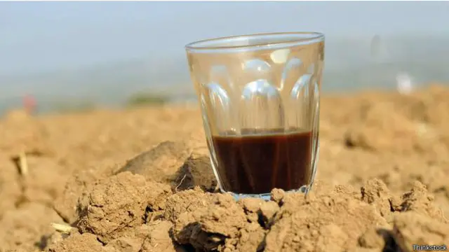 Café en el desierto