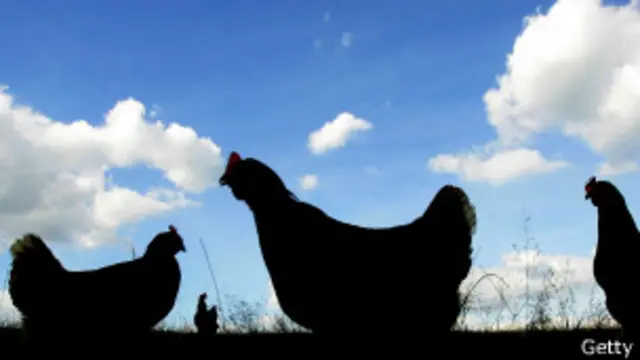 Власти жалеют малых предпринимателей - и вводят для них новые налоги