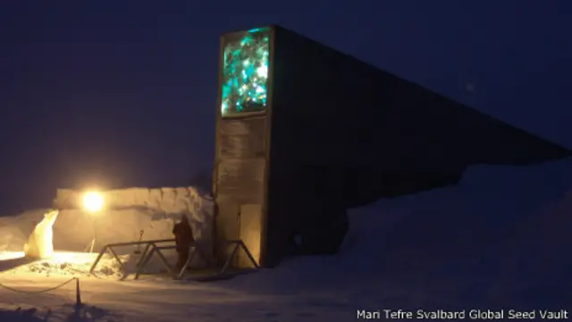 Banco mundial de semillas