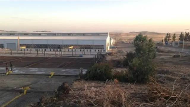 農業社會創建工業經濟,埃塞俄比亞的挑戰相當於二戰之後的日本