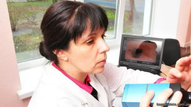 Богомолець